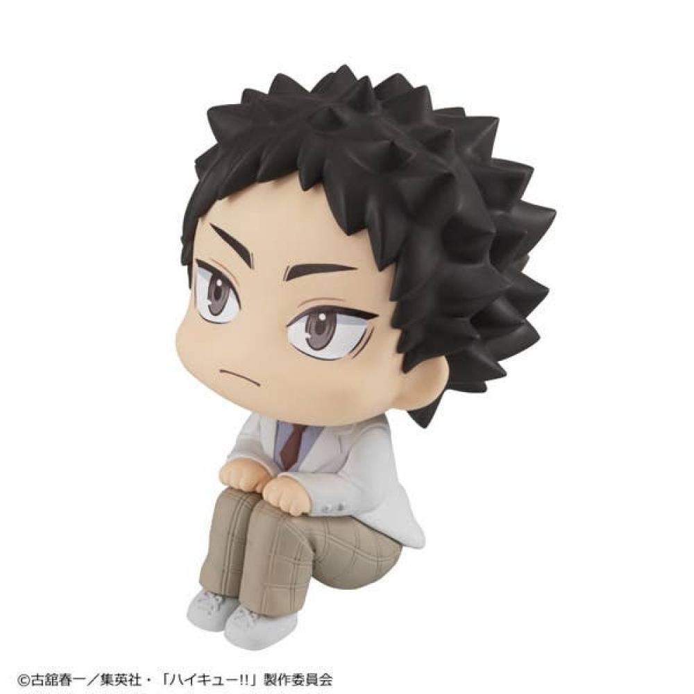 Haikyu   Look Up Haikyu   Hajime Iwaizumi  Reissue 