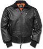 Winter Jacket Mil Tec Jacket (10461002) Black