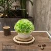 Home Homestay Ornaments: Mini Potted Green Plant for Office Conference Room Decor