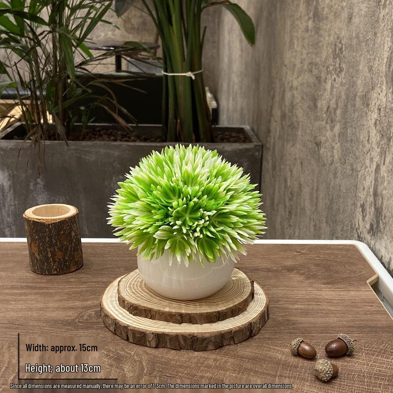 Home Homestay Ornaments: Mini Potted Green Plant for Office Conference Room Decor