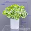 Artificial Pothos Plant Decor Living Room Office Indoor Home Decoration Fake Greenery