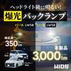 HID shop LW5B Type A LED back lamp 1 light