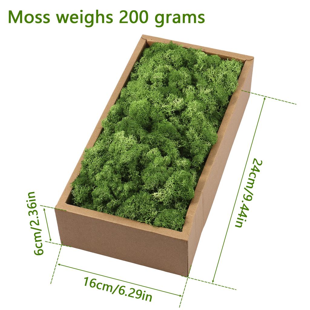 Preserved Moss Decor Lightweight Eternal Green Moss Craft Art Prop Aesthetic Artificial Fake Moss Wall Decoration for Home Party