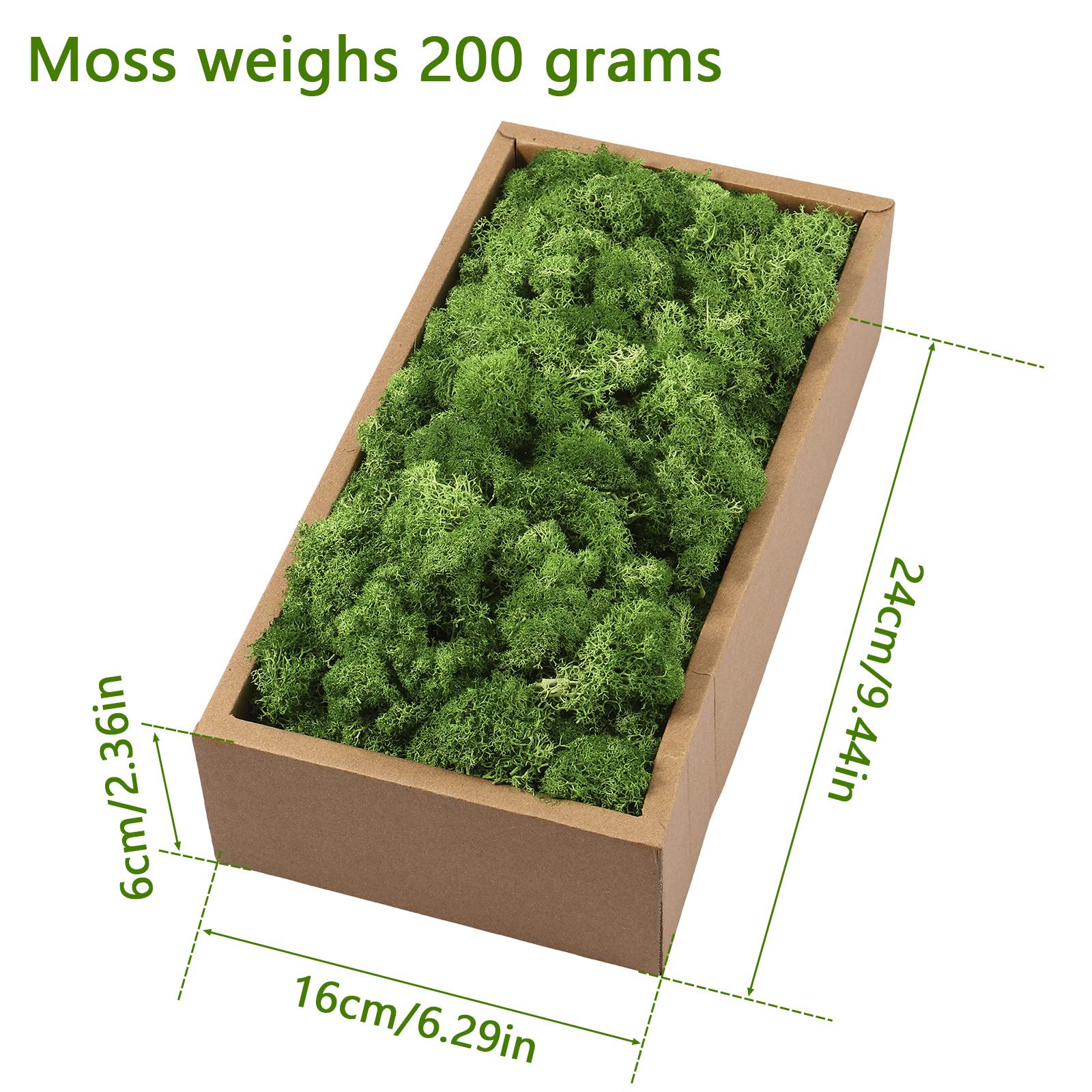 

Декор из стабилизированного мха Легкий Вечный Зеленый Мох Ремесло Арт Реквизит Эстетичный Искусственный Поддельный Мох Настенное Украшение для Дома Вечеринки