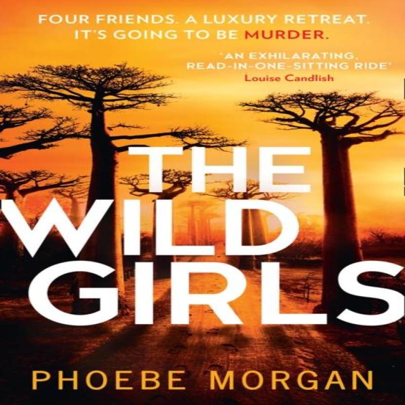 The Wild Girls by Phoebe Morgan Paperback Book 9780008406967