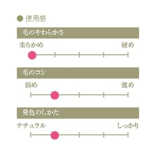 Authentic Kumano Brush Chikuhodo Silver Fox Powder Brush with Black Handle Hiroshima Regular Series Makeup Brush CHIKUHODO (R-P8) (Black)