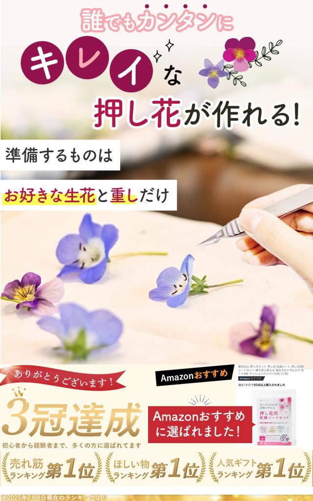 Yumeiro Kaden Pressed Flower Kit Pressed Flower Drying Sheet Set included for Craft materials 6 drying sheets 10 cushion papers Contains calcium