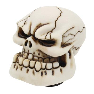 Funky Shift Knob Skull Bone Color