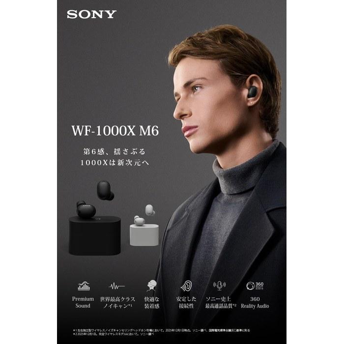 Sony WF-1000XM6 Black Wireless Earbuds