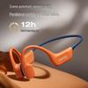 Saina B77SProMax IP68 Waterproof Bone Conduction Sports Headphones