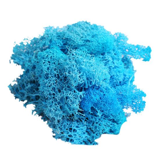 Kunstig plante Preservert blomst Reinsmose DIY Håndverk Hage Hjemmedekor