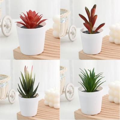 Cactus Succulent Artificial Succulent Bonsai Fake Plants Plastic Succulent Bonsai Plants Desk Decoration Mini Bonsai Home