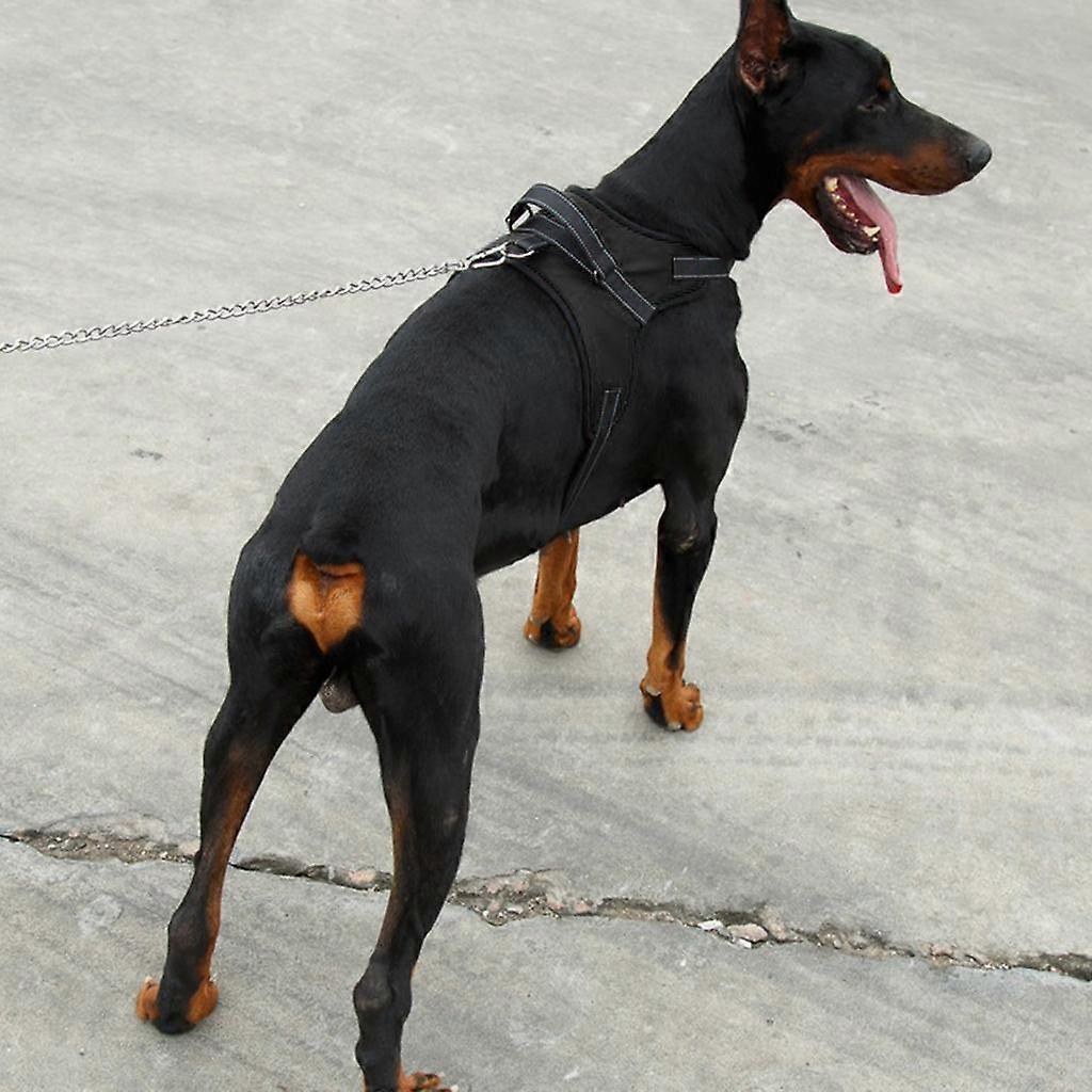 Pet Control Harness Walking Safety Strap Harness for Large Big Medium Dogs