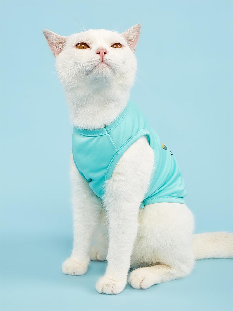 Hundekleid Hundeweste, Welpenkleidung für kleine mittlere Hunde Mädchen Jungen, Katzenbekleidung Frühling Sommer Kleidung
