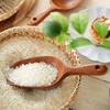 Natural Lacquer Rice Spoon