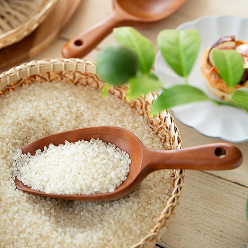 Natural lacquer rice spoon