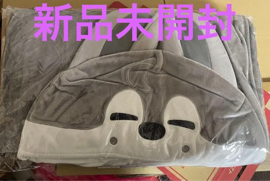 [USED] Stray Kids Wolfchan Blanket Bangchan Official