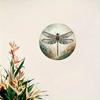 Accesorii pentru decor – Produse din metal