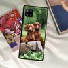 Dackel Hunde Hülle Für Samsung Galaxy A33 A13 A36 A56 A23 A52 A32 A12 A54 A34 A14 A16 A26 A53 A15 A35 A55