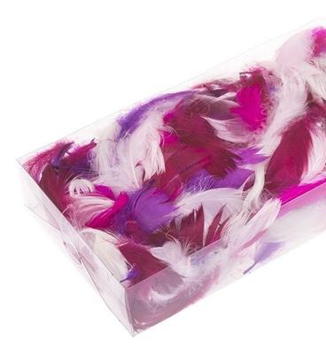 Feathers In a Box - Mix, Valentine's Day