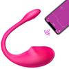 Little Dolphin Bluetooth Remote Control G-Spot Vibrator for Women