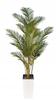 Artificial Tall Areca Palm Artificial Tree 160cm