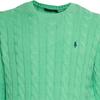 Polo Ralph Lauren Logo Embroidered Crew Neck Long Sleeve Knit Sweater Men sweater Green 710775885-516