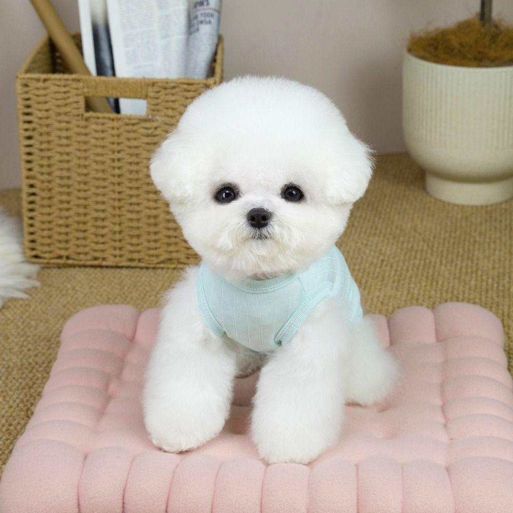 Wrapped Design Pet Onesie Full-Body Design Dog Clothes Spring Dog Belly Jumpsuit Yorkshire Puppy