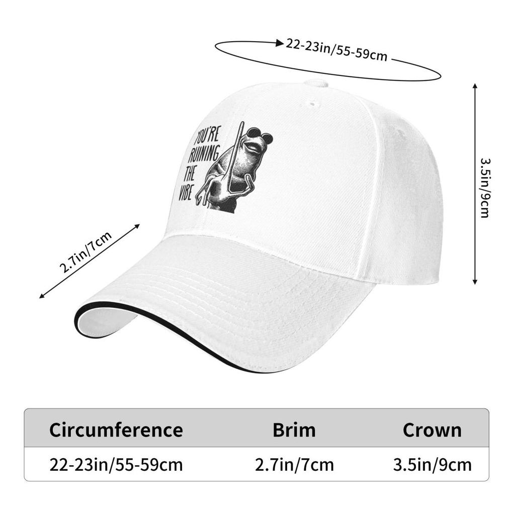 Baseball Caps You're Ruining The Vibe Fun Graphic Unisex Casual Spring Hats