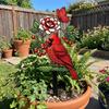 2D Flat Floral Bird Garden Stake Acrylic Flower Pattern Ornaments  Outdoor Lawn Use