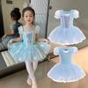 Frozen Elsa-Inspired Ballet Skirt: Summer 2025 New Girls' Dance Costume