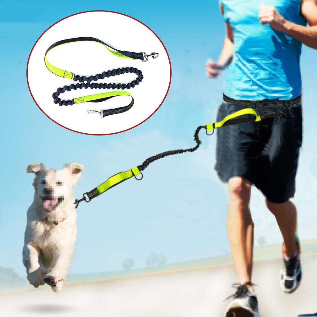 Dog Walking Leash Wear-resistant Running Traction Rope Adjustable Elastic Waist Belt Strap Reflective Leash for