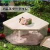 CocoFill Hamster Toilet, Bathroom, Cage, and Play Area, Multi-Function, Deodorizing, Easy to Clean, Splash-Resistant, 90-Day Warranty (Small Size)