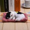 Realistic Plush Cat Sleeping Lying For and Puppy Body Pillow Toy, Lifelike, Cat, Down, Sounds, Cute, Lifelike, Kids, Adults, Adults,