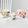 350ML Double Wall Glass Coffee Mug Dries Flower Insulated Glass Cup with Handle Clear Espresso Latte Cappuccino Milk Juice Tea Water Cup