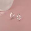 2024 Trendy Light Luxury Starry Silver Earrings for Women - Niche Design & Elegant Fashion