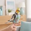 Yousheng Parrot Diaper Clothes with Leash, Parrot Flight Harness Diaper, Reusable Parrot Nappy Clothes, Outdoor Training Harness for Parakeet Budgies