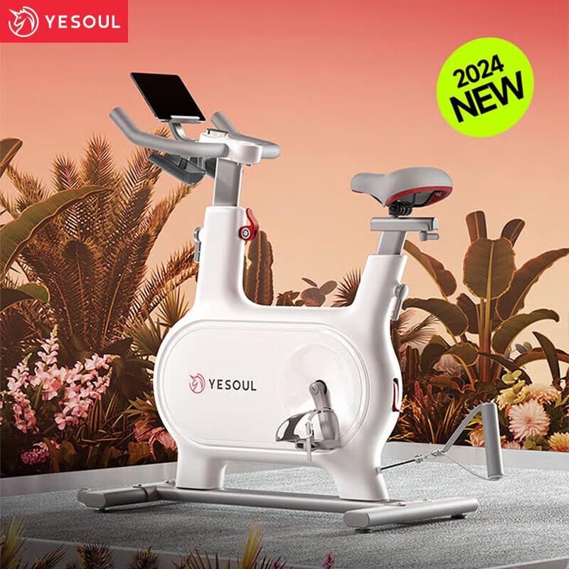 YESOUL M2T Smart Self-Generating Indoor Cycling Bike