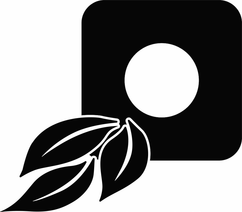 Protective Sticker for the Switch - Flower Leaves