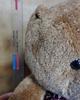 [USED] Teddy Bear Teddy Bear
