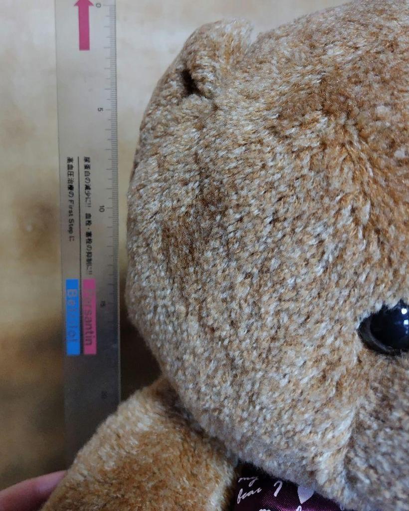 [USED] Teddy Bear Teddy Bear