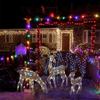 Christmas Reindeer Decoration Three-Piece Set for Yard Ornaments