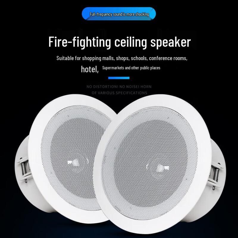 Lingsheng Ceiling Speaker CN plug (adapter included)