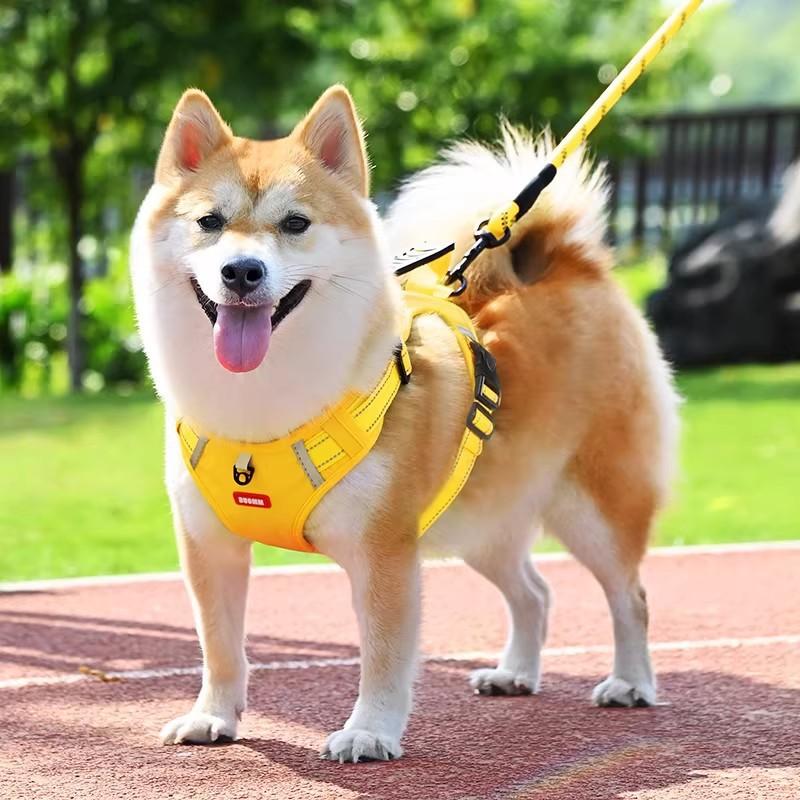 No Pull Dog Harness Leash Set for Medium Large Dogs, Anti-Escape Pet Vest Harness for Shiba Inu Corgi Golden Retriever