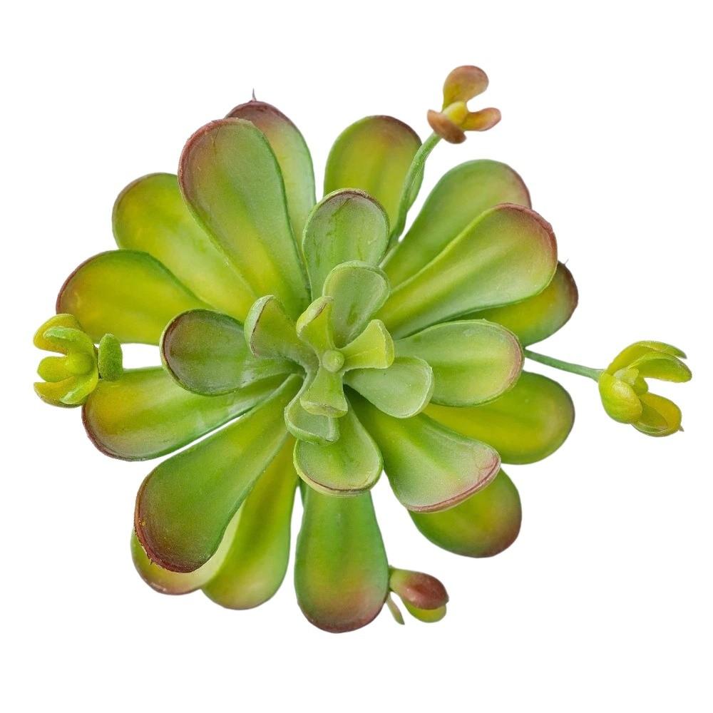 Lifelike Artificial Succulent Plant Real Touch Simulation Bonsai Plant  Home Office Decor