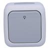 Normally open switch with "LIGHT" symbol IP54, gray PALMIYE