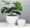 White Ceramic Orchid Pot, Large Elegant Design for Living Room