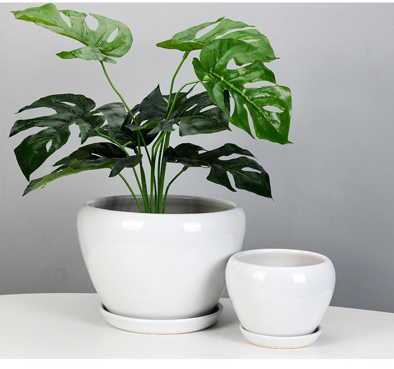 White Ceramic Orchid Pot, Large Elegant Design for Living Room