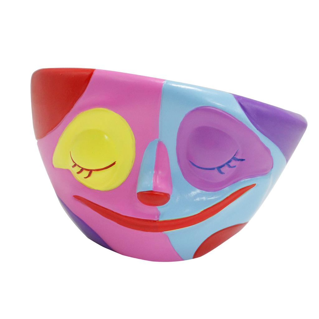 Face Succulent Planter Colorful Delicate Look Resin Flower Pot Home Decoration for Indoor Outdoor