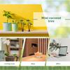 3Pcs Plastic Coconut Palm Tree Miniature Micro Landscape Supplies Bonsai Craft Garden Decoration Tiny Palm Tree Fairy Garden